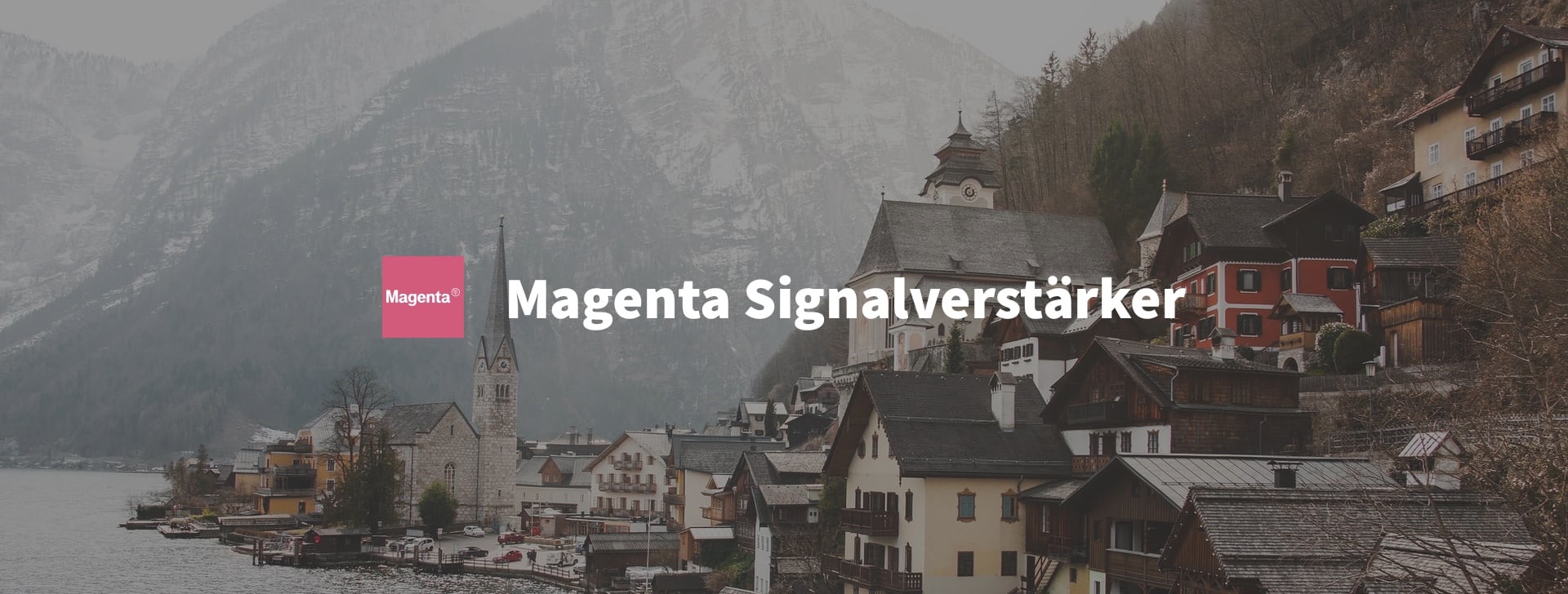 Magenta Signalverstärker