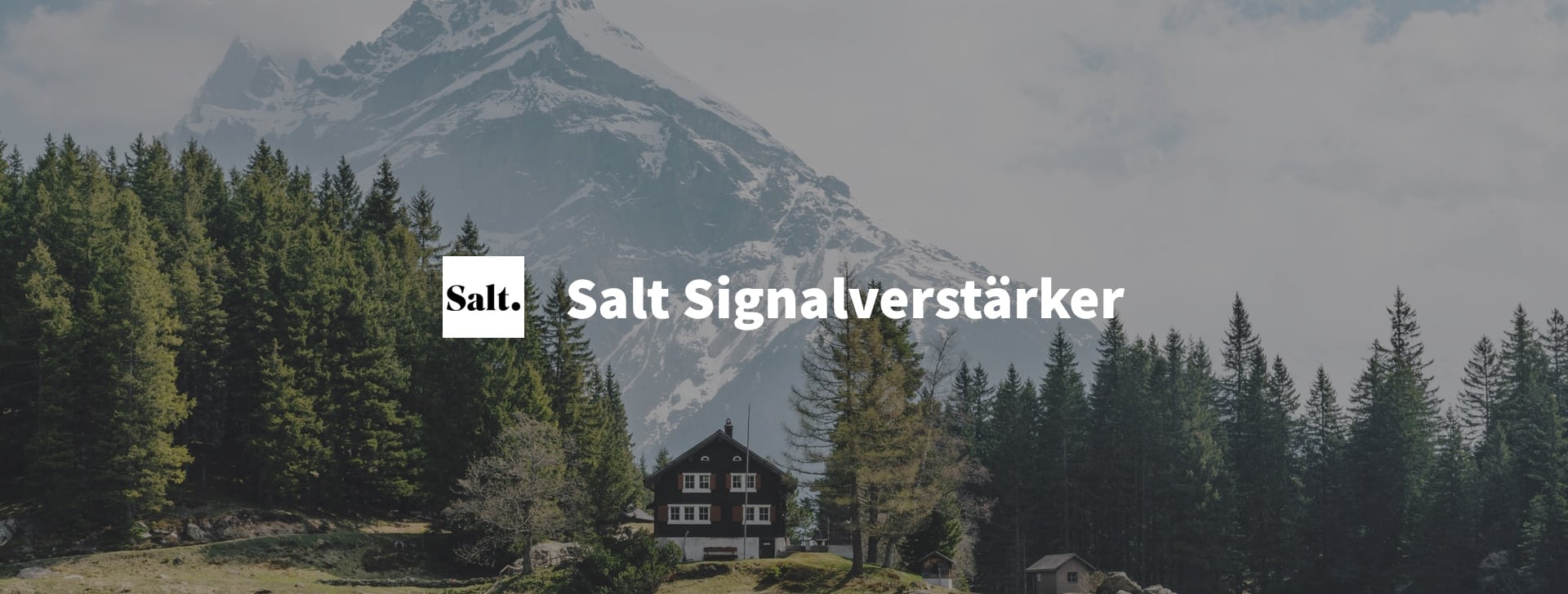 Salt Signalverstärker